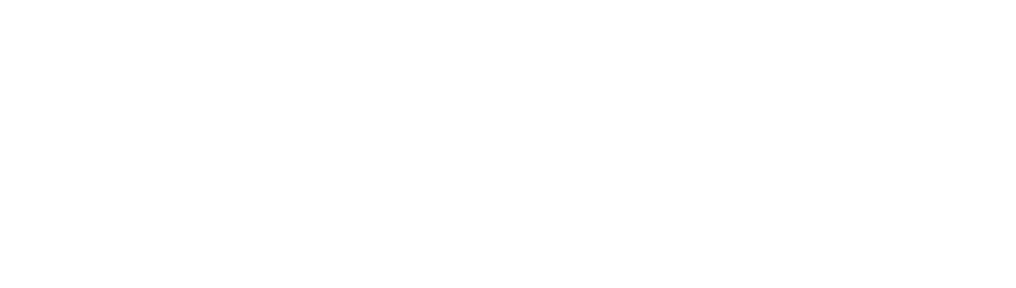 VASTOMETRE Logo